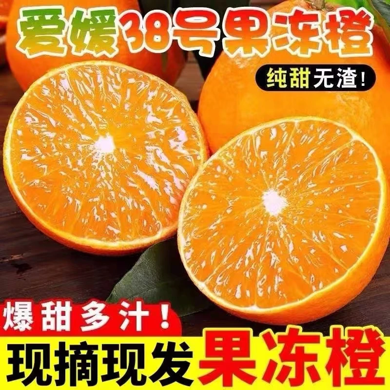 四川爱媛38号果冻橙无渣无籽现摘现发果肉饱满细嫩爆汁3/5斤