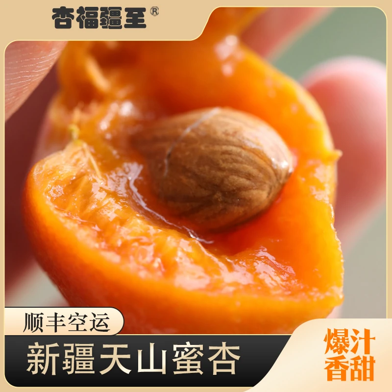 【新疆阿克苏小红杏】产地现摘现发自然成熟新鲜好吃