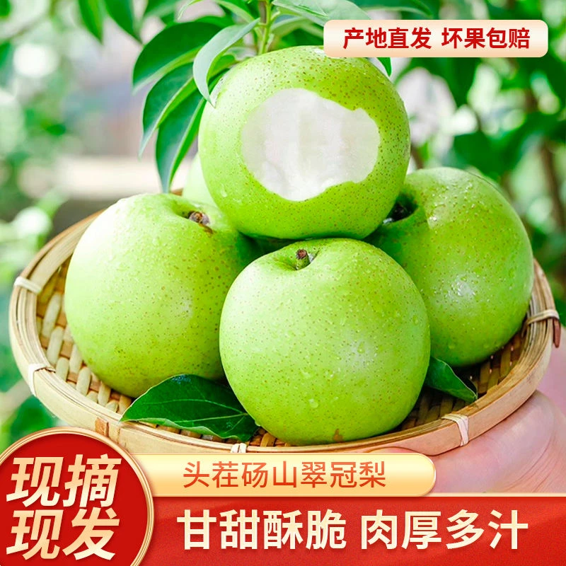 【脆甜多汁】砀山青皮蜜梨脆甜无渣汁水新鲜水果梨砀山脆甜梨皮薄