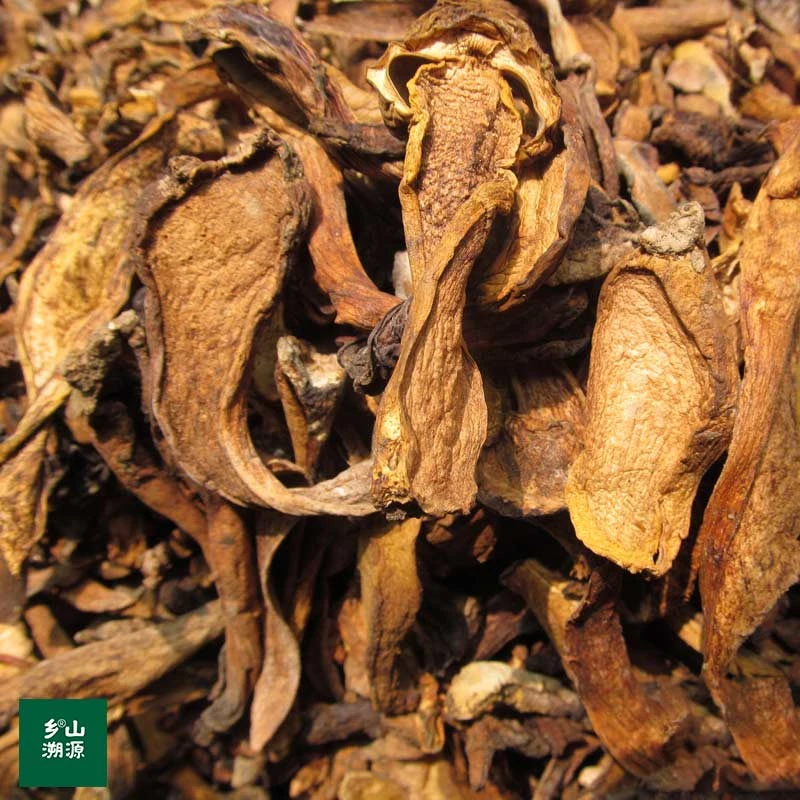 四川特产黄牛肝菌新鲜农家自晒