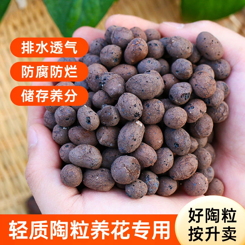 [10升陶粒]陶粒垫底美观土水培养花盆栽专用园艺铺面园艺种花水培