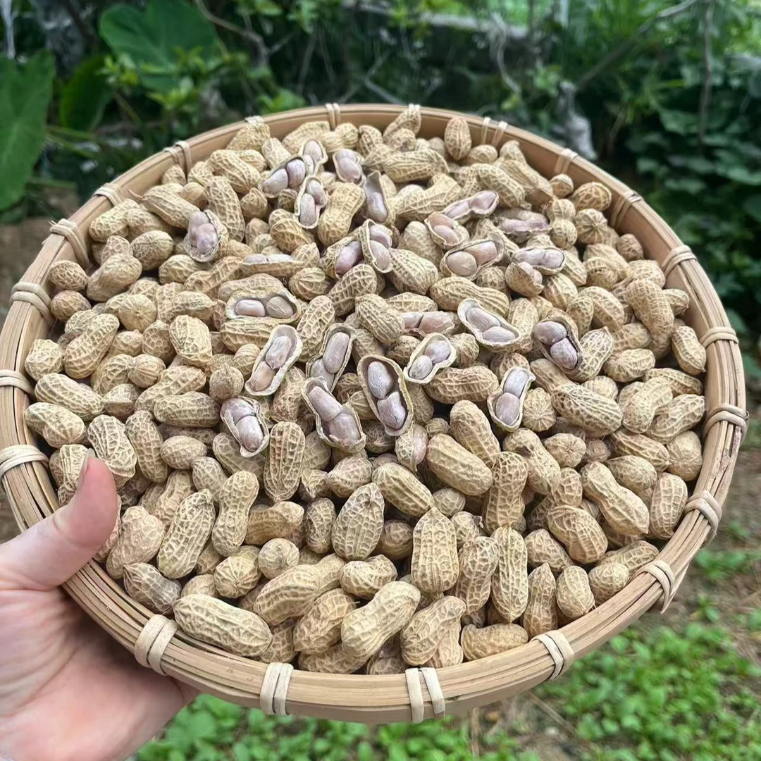 农家水煮花生纯日晒 盐水煮带你寻找小时候的味道