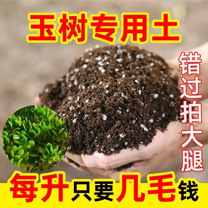 玉树专用进口泥炭营养土疏松透气养花种菜泥土多肉土绿植养花土泥