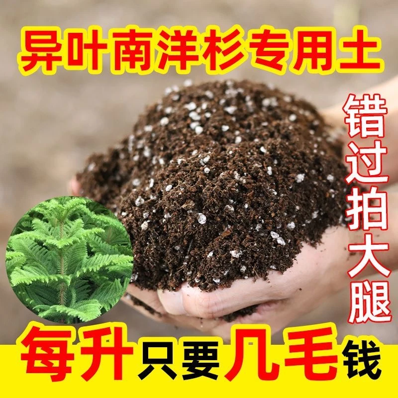 异叶南洋杉专用进口泥炭营养土疏松透气养花种菜多肉绿植养花泥土