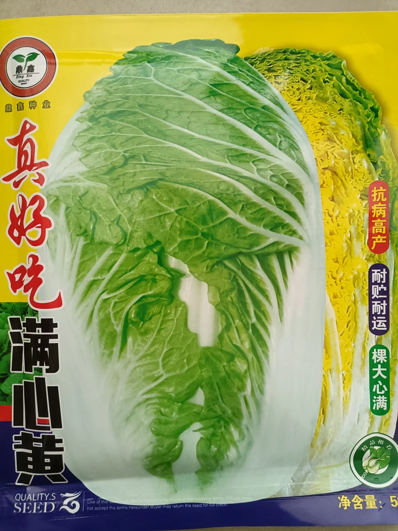 真好吃满心黄白菜籽50克