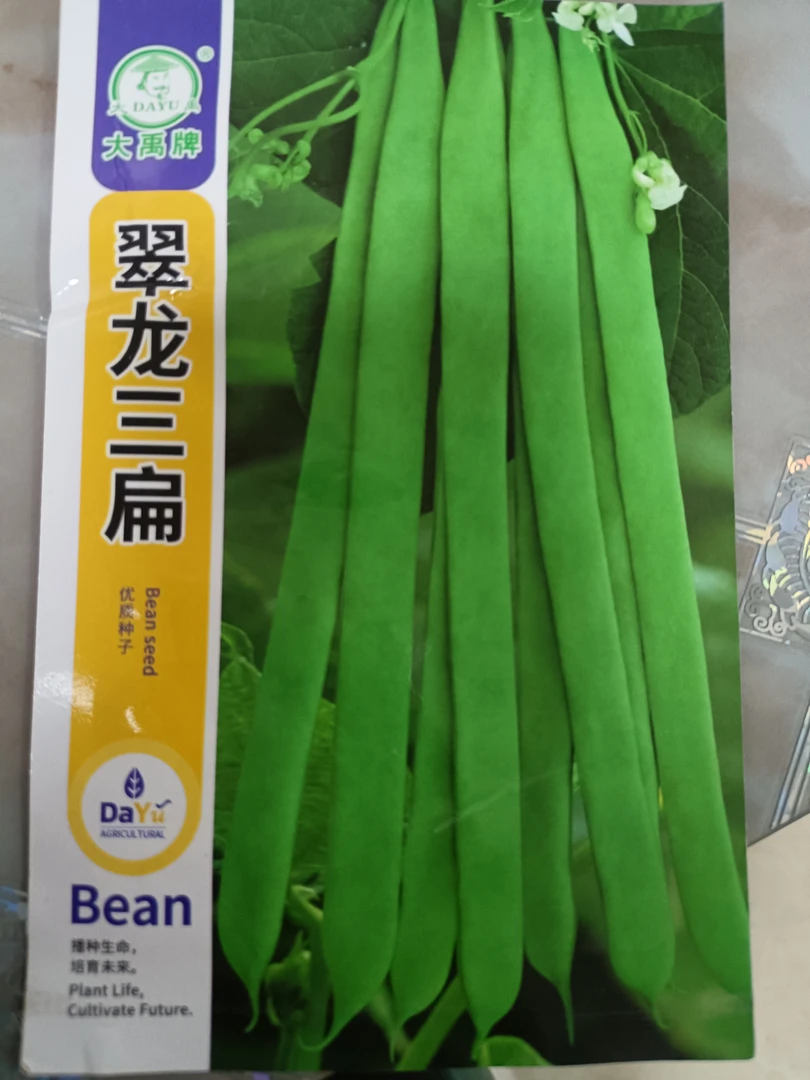 翠龙三扁豆角籽50克