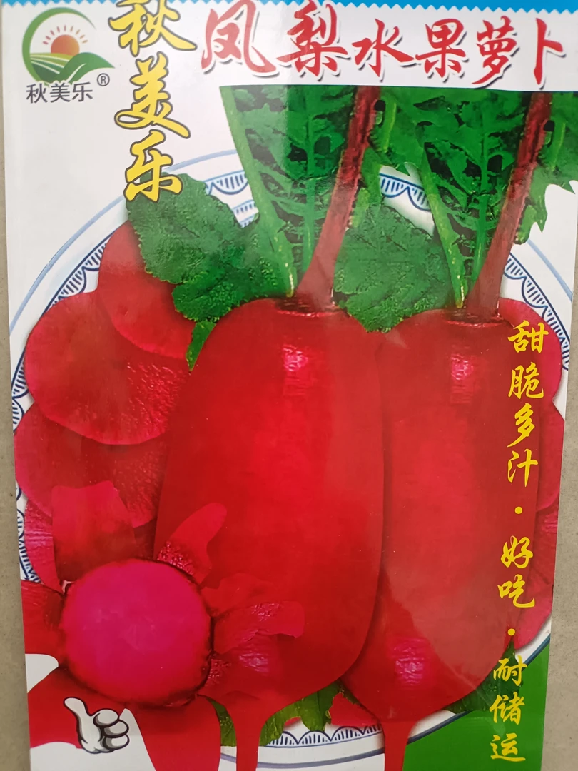 秋美乐凤梨水果萝卜籽