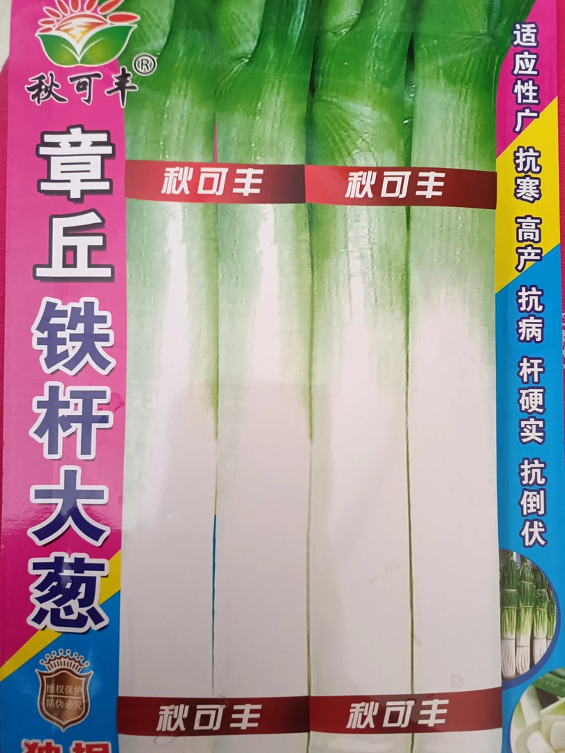 秋可丰章丘铁杆大葱籽10克