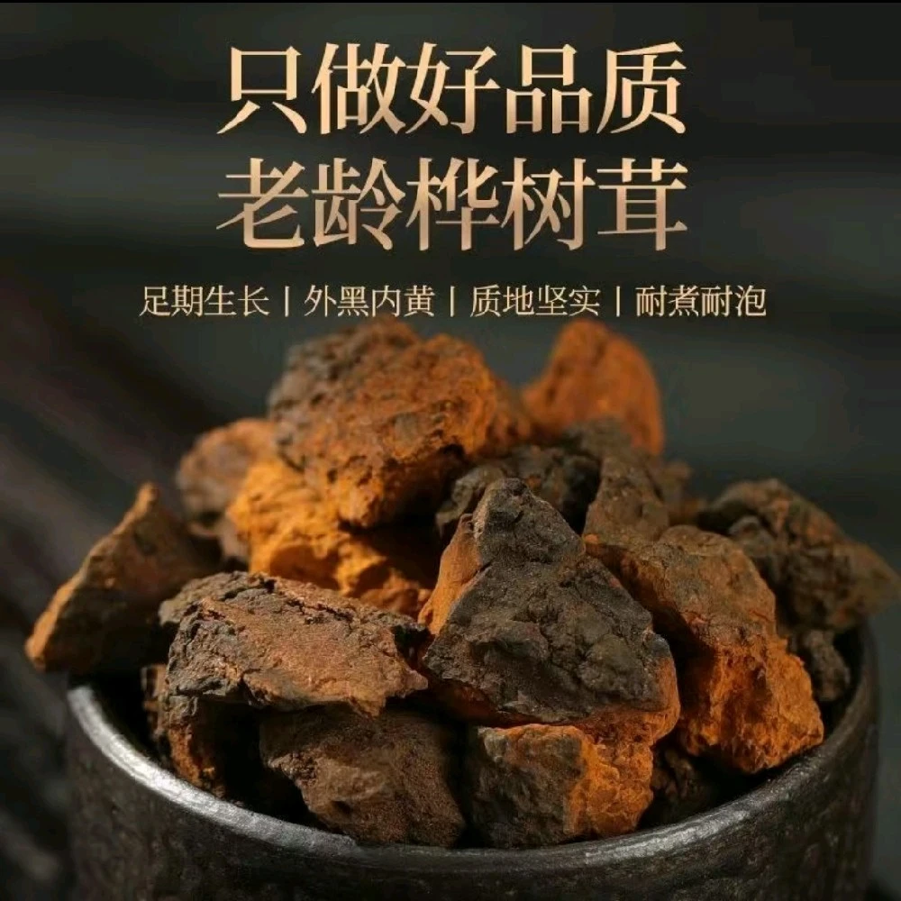 野生桦树茸500g包邮煮水喝特别好营养浓郁