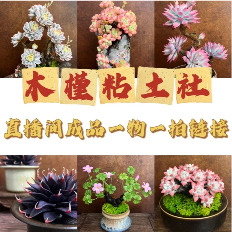 【木槿粘土社】粘土手工多肉成品直播间一物一拍