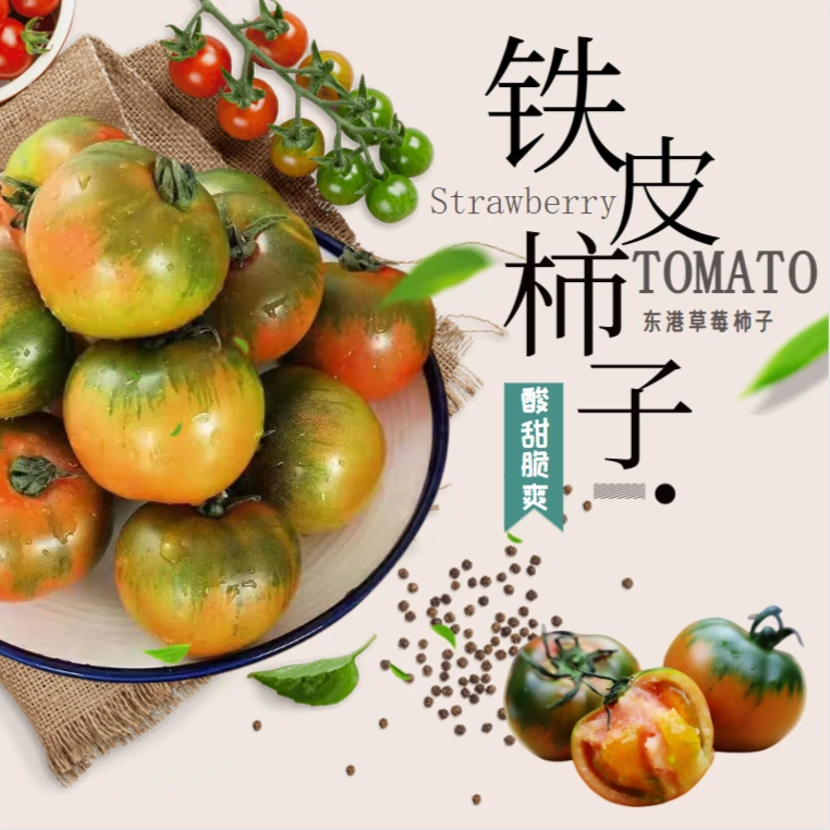 丹东东港铁皮柿子番茄新鲜现摘西红柿孕妇水果顺丰包邮
