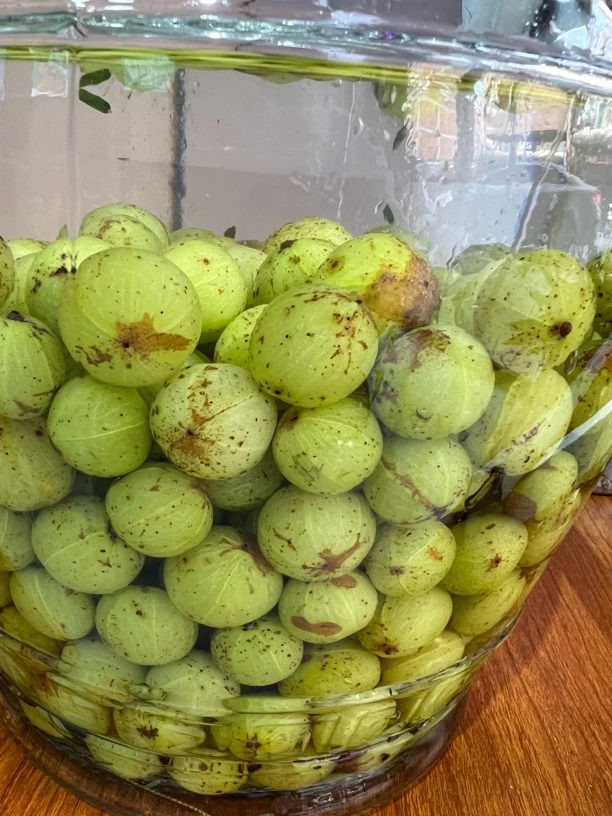 淡盐水泡野生橄榄果