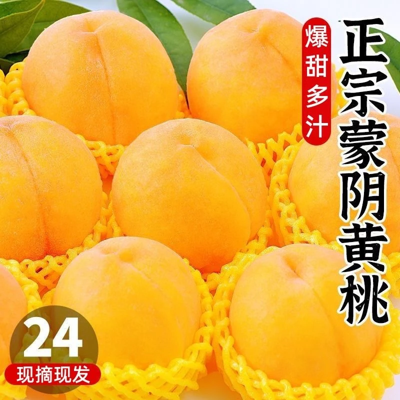 “蒙阴蜜桃之乡”现采摘大黄桃黄金脆新鲜应季水果黄桃罐头多汁鲜甜