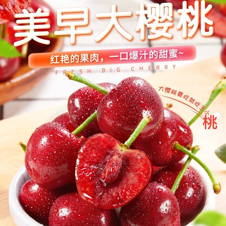 【现货】山东露天美早大樱桃当季新鲜水果车厘子脆甜多汁现摘现发
