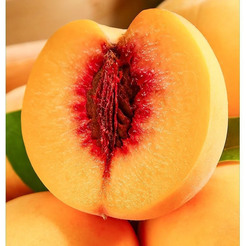 正宗山东蒙阴锦绣大黄桃新鲜水果应季爆甜黄金蜜锦绣黄桃脆甜多汁