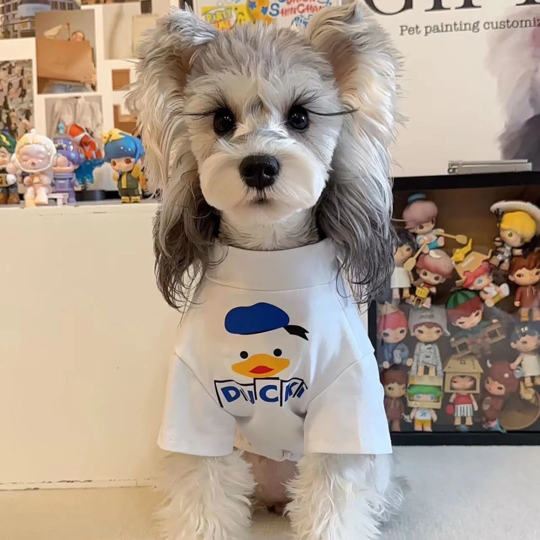 春秋季宠物衣服博美雪纳瑞加绒小型幼犬泰迪比熊贵宾狗狗衣服保暖