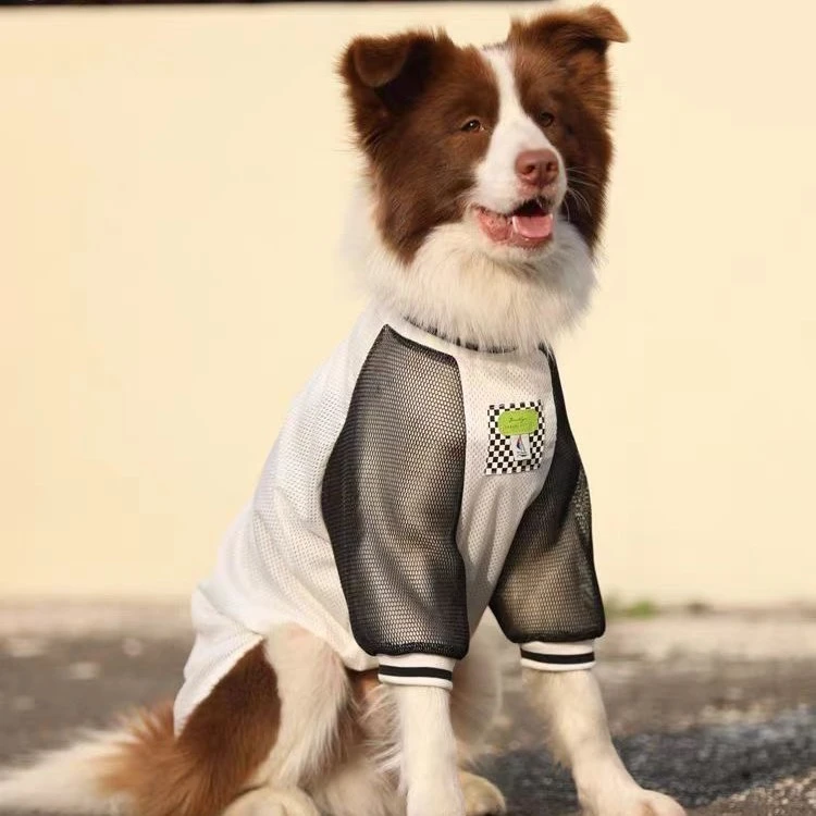 边牧大狗宠物衣服夏天薄款透气金毛网布衣服拉布拉多德牧中大型犬