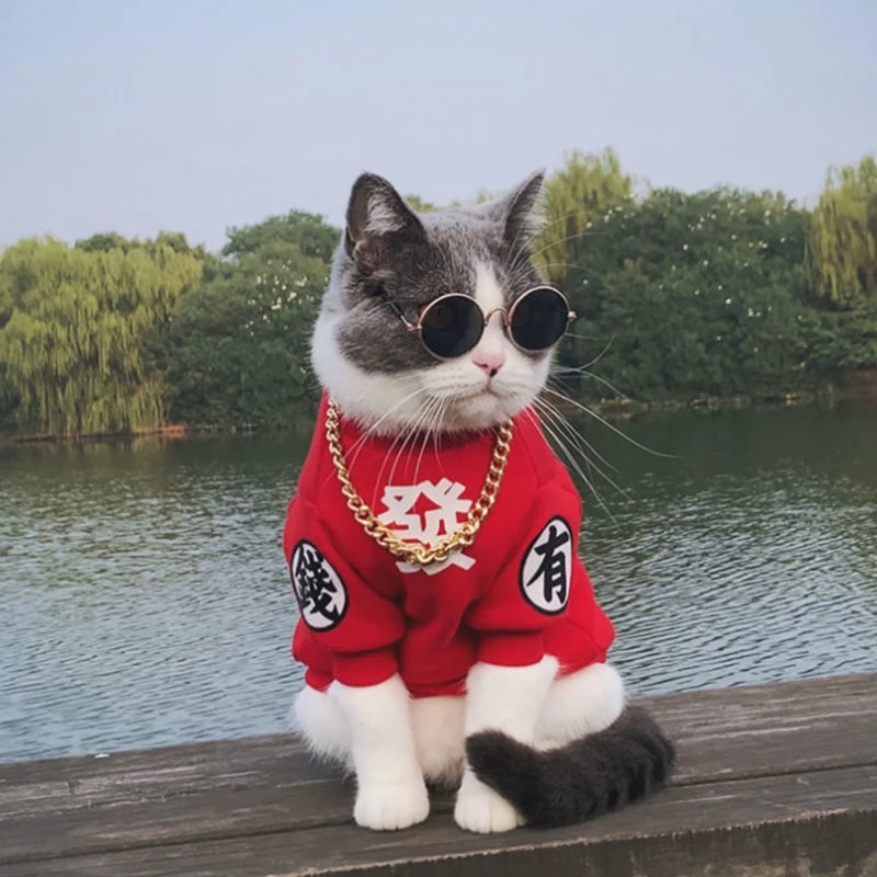 猫咪衣服秋冬装新年战袍狗狗宠物衣服加绒加厚保暖小猫幼猫防掉毛