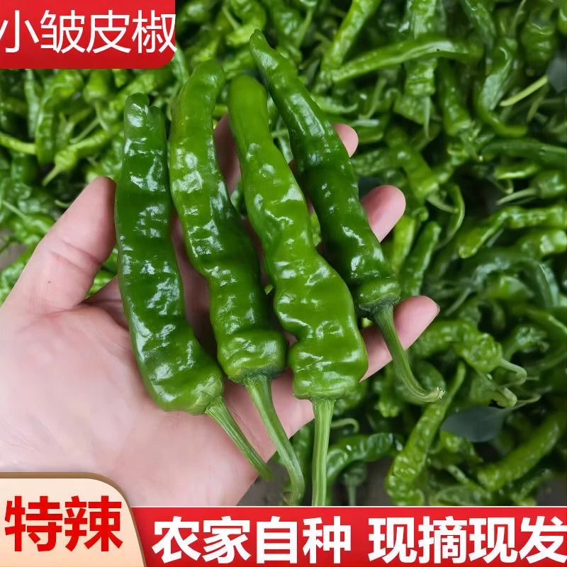 小邹皮辣椒特辣正宗特辣薄皮新鲜辣子鸡邹皮带箱子5斤当季超辣椒
