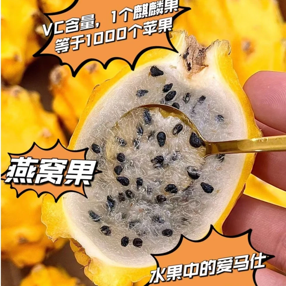 燕窝果/箱