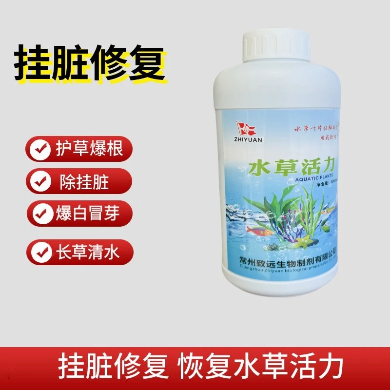 补充伊乐藻挂脏水草挂脏活力差恢复水草活力高温保草不伤鱼虾蟹