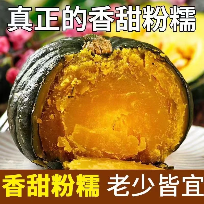 【正宗板栗味南瓜】老南瓜粉糯香甜宝宝辅食优质商超品质大南瓜产地