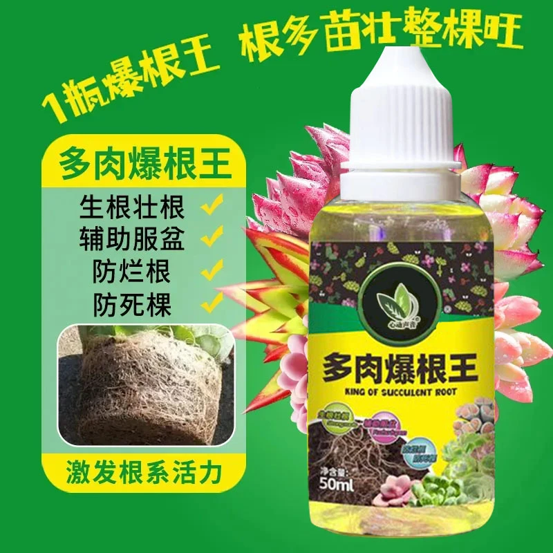 多肉爆根王生根液壮苗剂水培植物通用控释养花水肥植物营养液YF