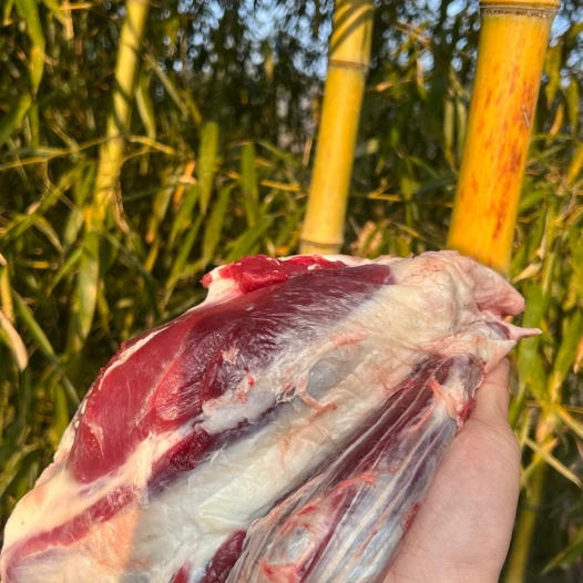 【大吴吴专属】高山放养老黄牛新鲜牛腱子牛尾巴