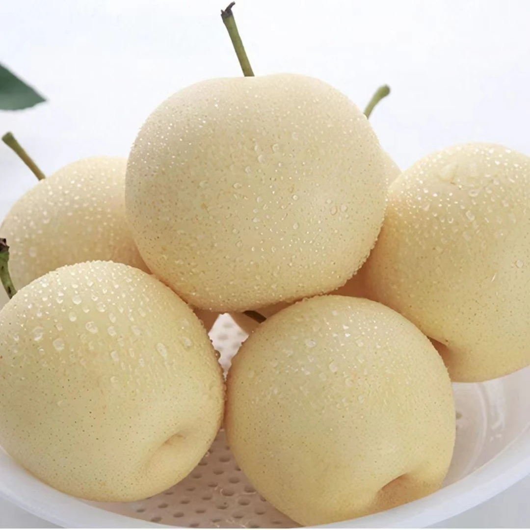 【脆甜】皇冠梨河北黄冠梨梨子礼盒装送人水果批发整箱产地直发