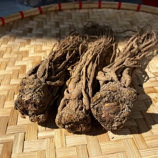 农家下山货缅山深菇