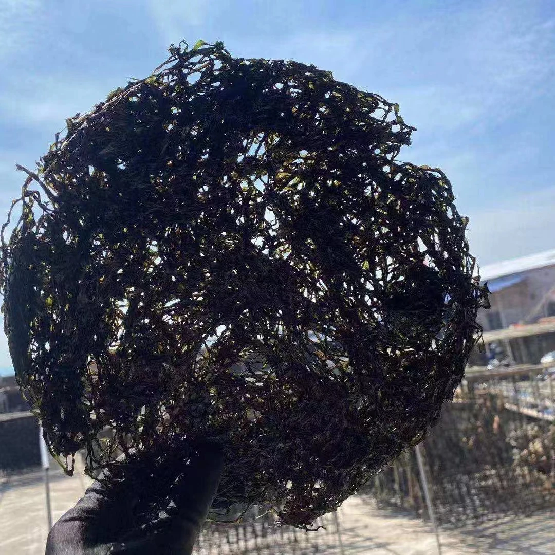 东山头水紫菜250克/包