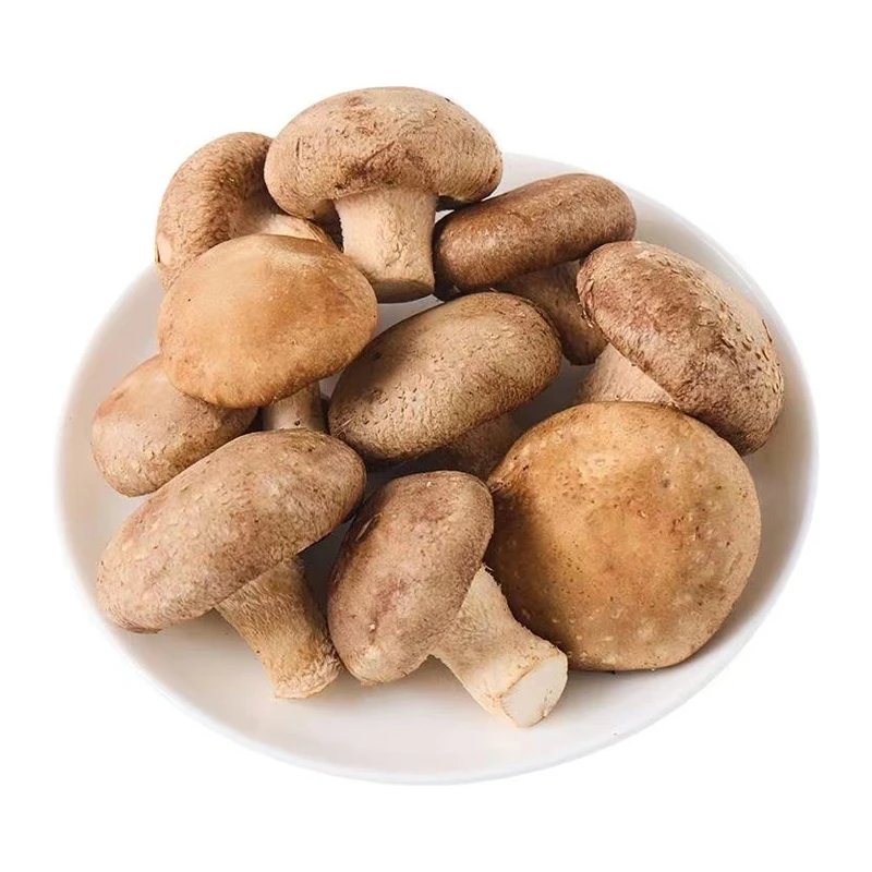 缤纷田园香菇（大）  约300g