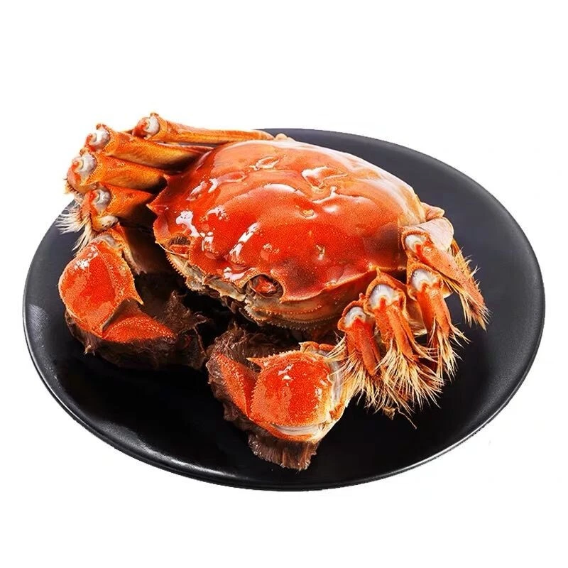 预售-鲜活大闸蟹1.7-2两母蟹1.9-2.2两公蟹3对