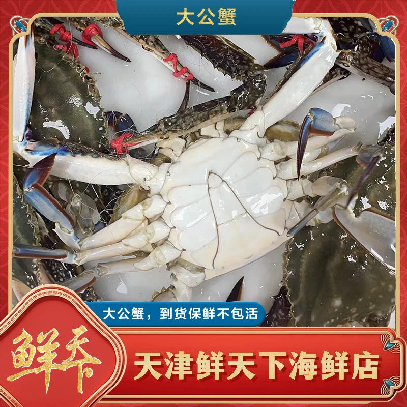 【保鲜不保活】本地精品特大公蟹 1斤2只左右 单只5两起