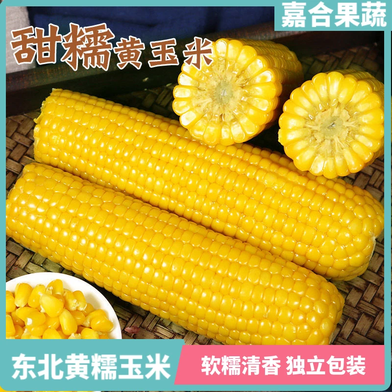 直播间专属】12根东北黄黏玉米甜糯香黏玉米棒真空包装1/8/10现货