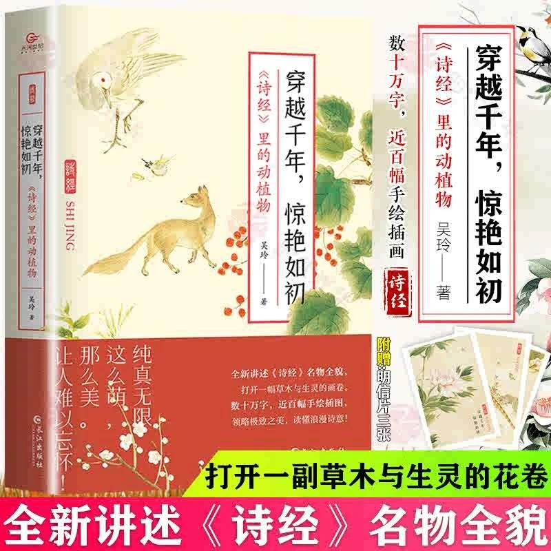 穿越千年惊艳如初 诗经里的动植物 裸脊锁线装帧全彩印刷精装版