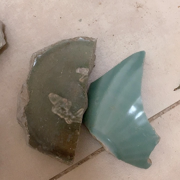 瓷片科*馆111?111111111111