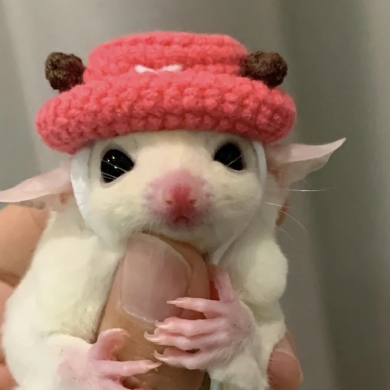 【蜜袋鼯帽子】可爱小帽子 手工作品 网红钩织