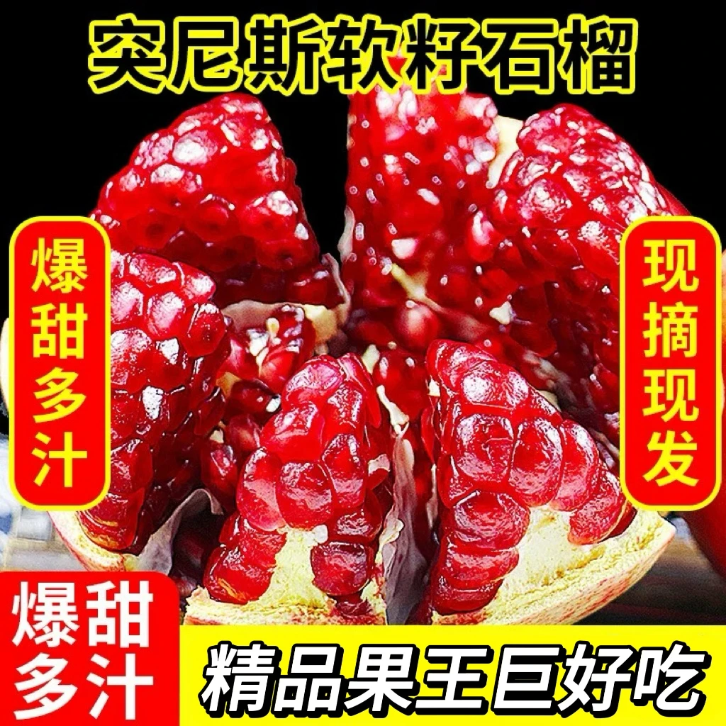 花花专属【坏果包赔】四川会理软籽石榴新鲜水果整箱y1
