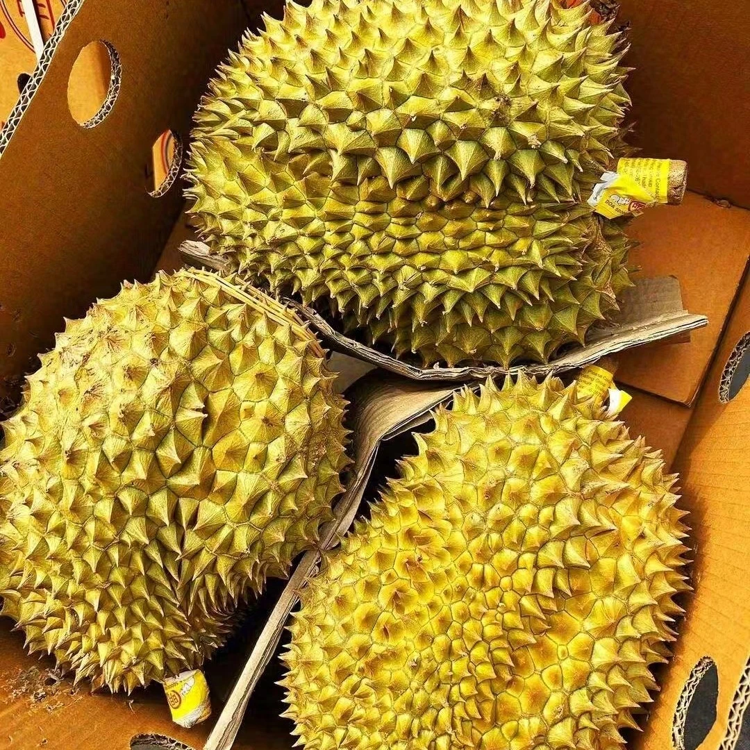 金枕榴莲 （现称   现改价   现拍）