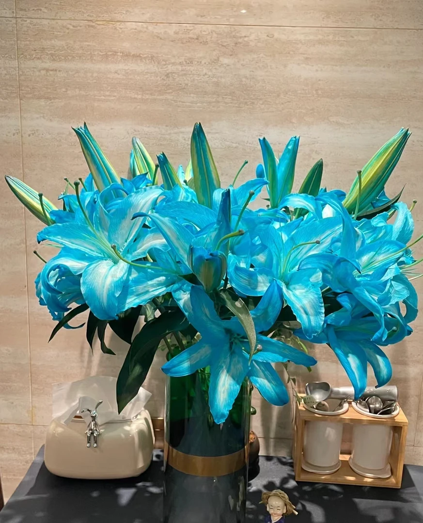 《吸色百合集结》 室内家居香水百合