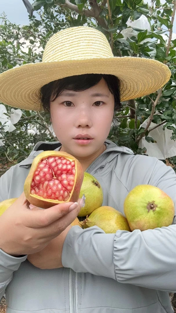 5斤 中大果 6-9个老品种突尼斯软籽石榴  表皮有花麻不影响口感zm