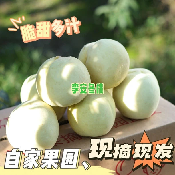 脆甜正宗河南冬桃净重4.2斤红心白肉桃子新鲜应季水果