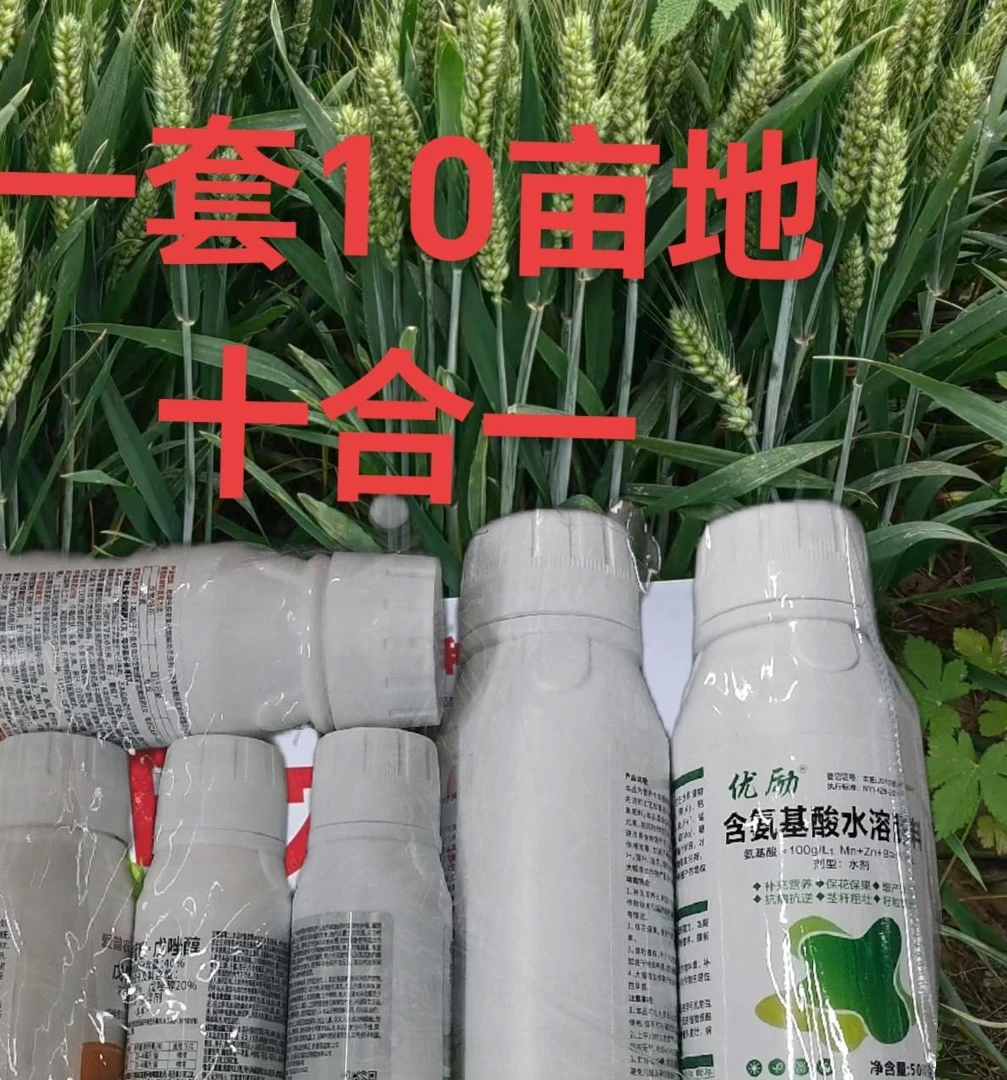 小麦10亩防病增产叶面肥