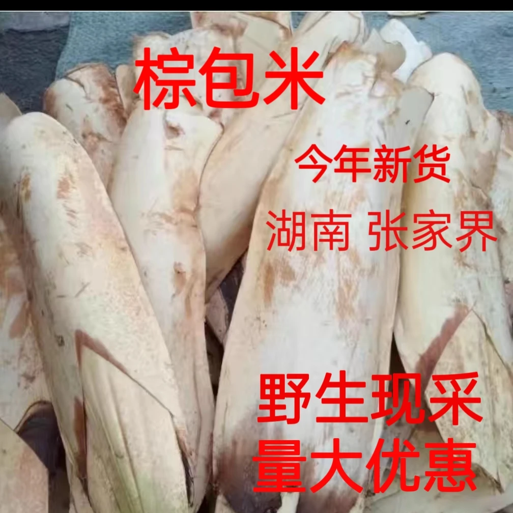 现摘新鲜棕包花 棕树花尾 棕包米 棕榈尖尾 棕笋 棕包花自然美味