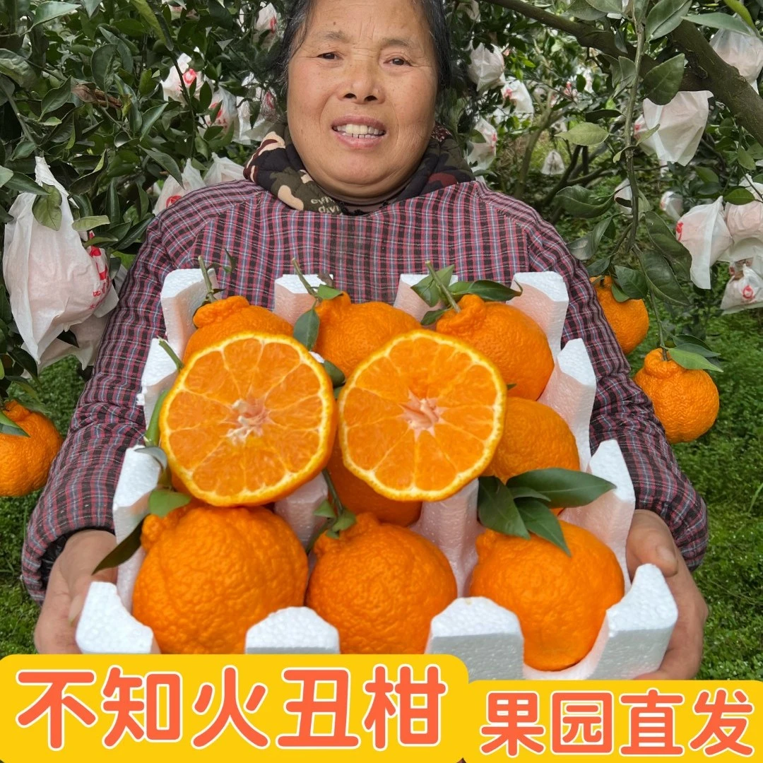 [乡食记]四川眉山不知火丑柑保鲜丑橘品质丑八怪新鲜采摘水果8斤