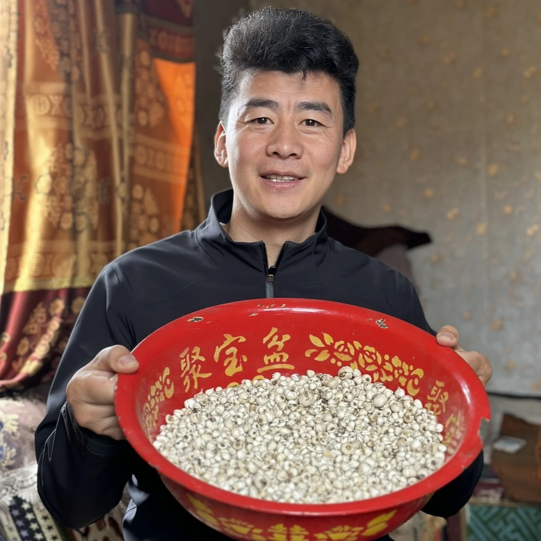 藏贝母50g西藏高海拔4300米高山采挖自然晒干川贝母包邮