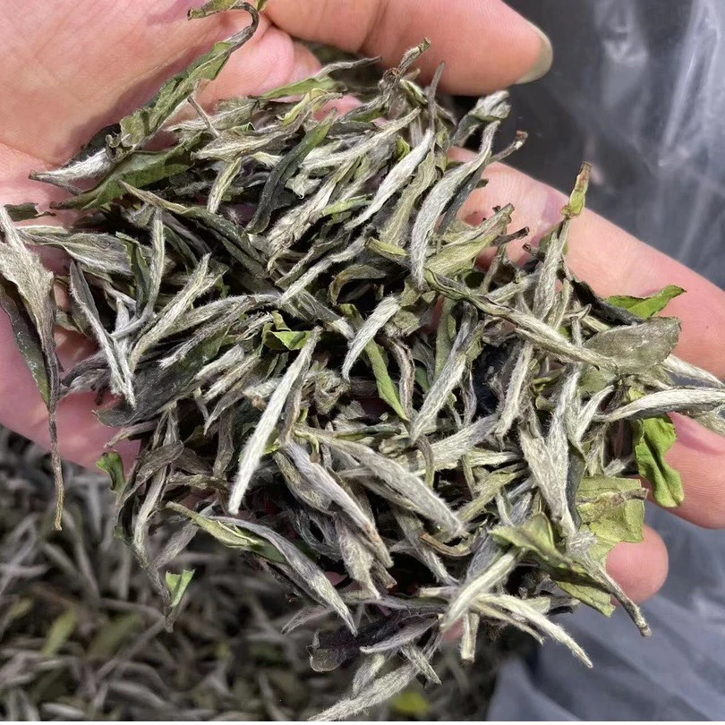 【新人福利】高品质明前白牡丹散茶 福鼎白茶250克盒装好茶