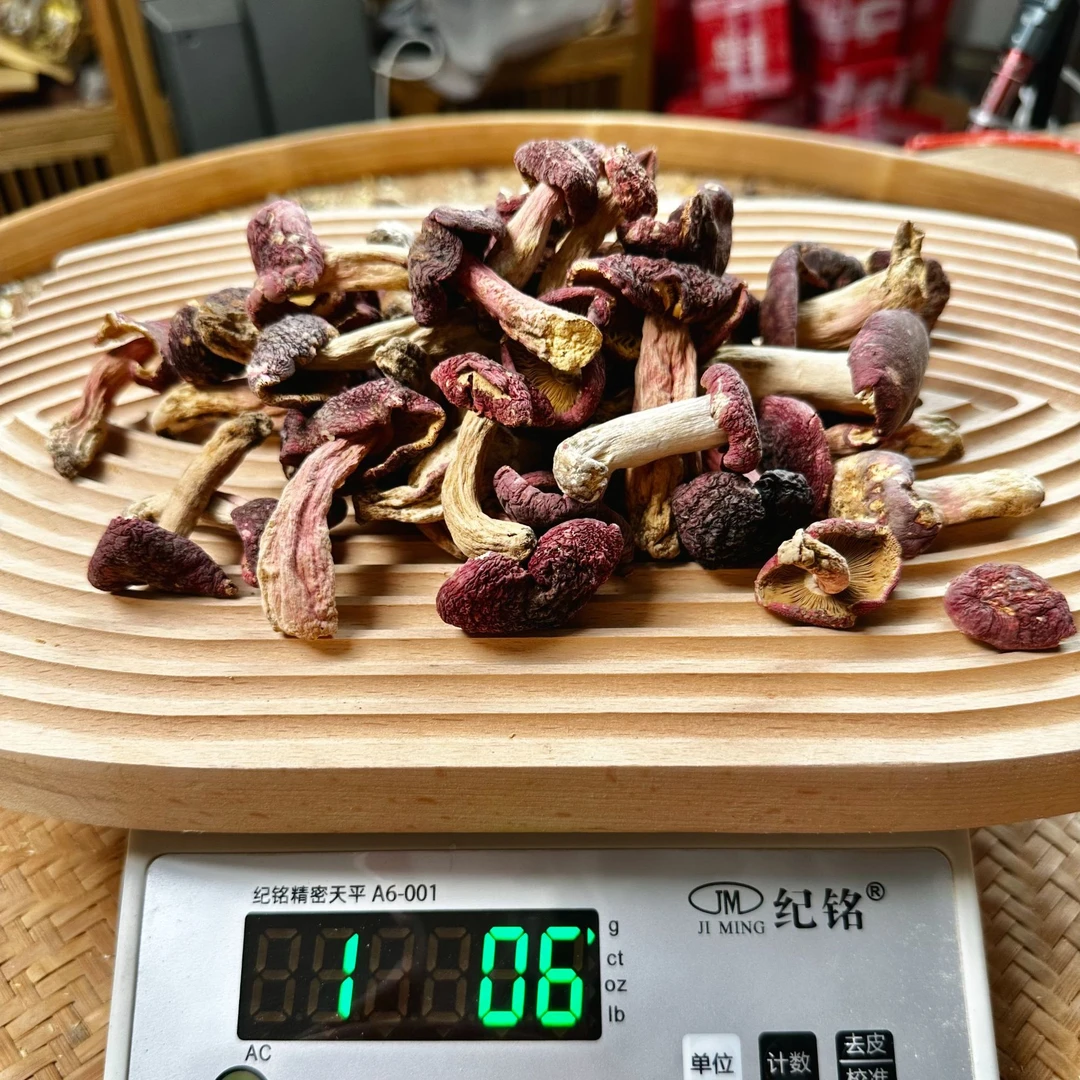 菌百道【小康精选】野生红菇福建高山菌菇带泥红菇干货中小菇