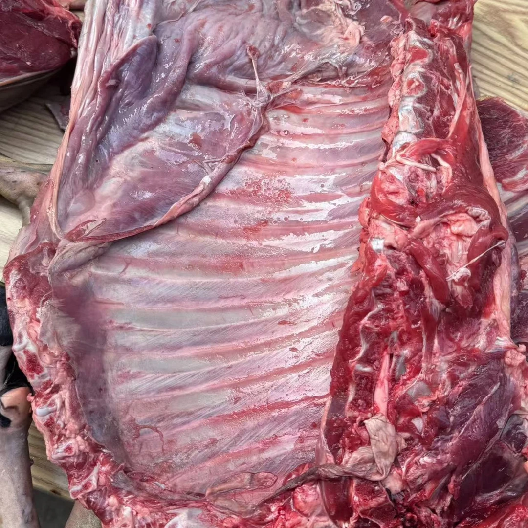 本地土山羊羊肉(带骨3斤)-新鲜现宰现切